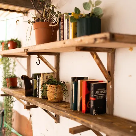 Hostel Dona Rose Surf *