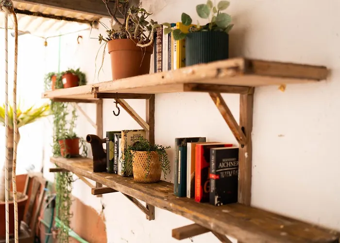 호스텔 Dona Rose Surf *